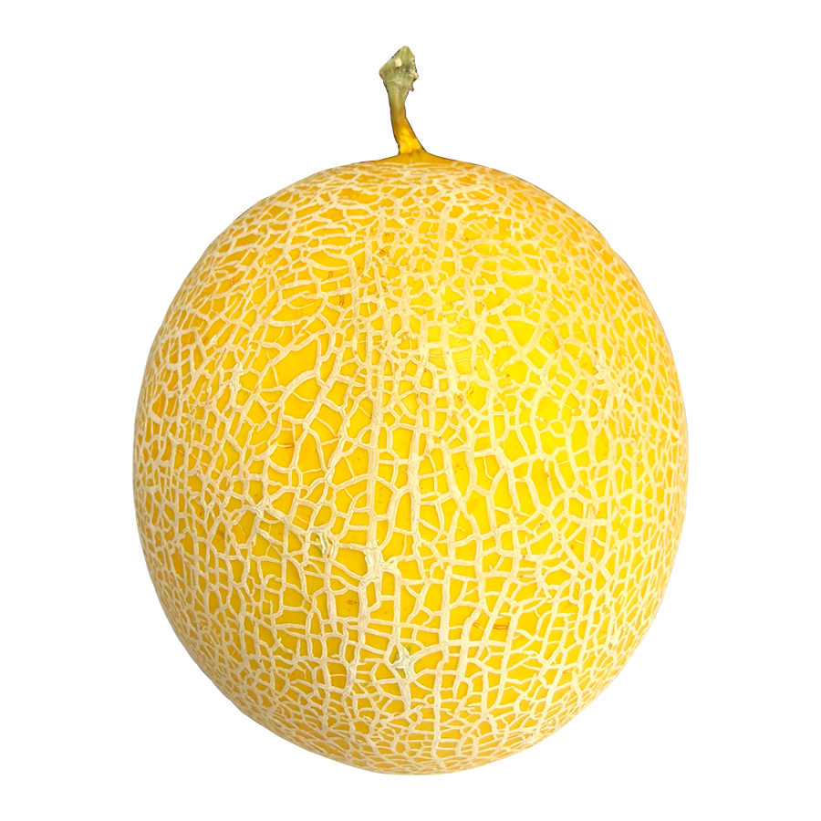 Dưa lưới